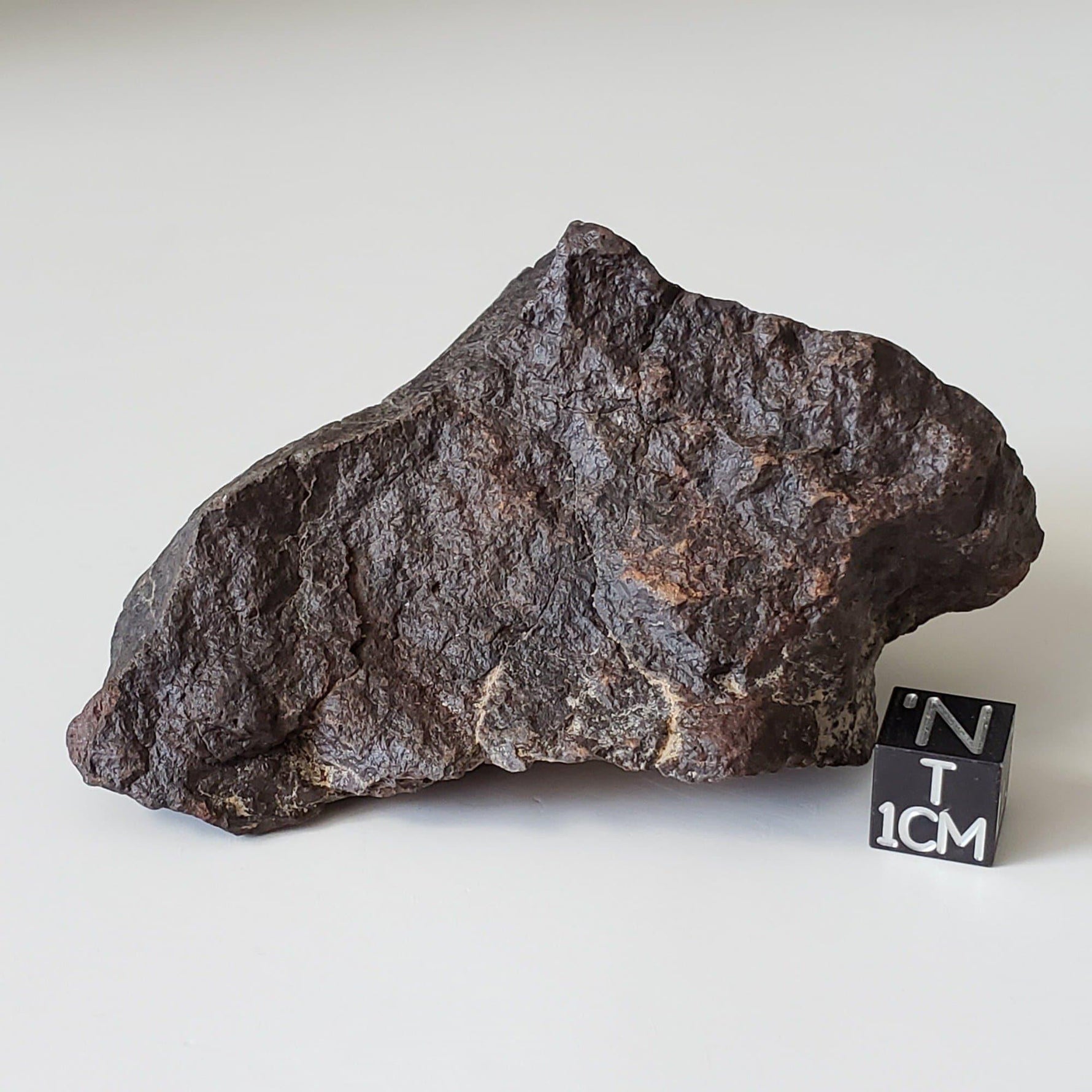 Dhofar 221 Meteorite | 168.8 Grams | Individual | L5 Shocked Chondrite | Sahara
