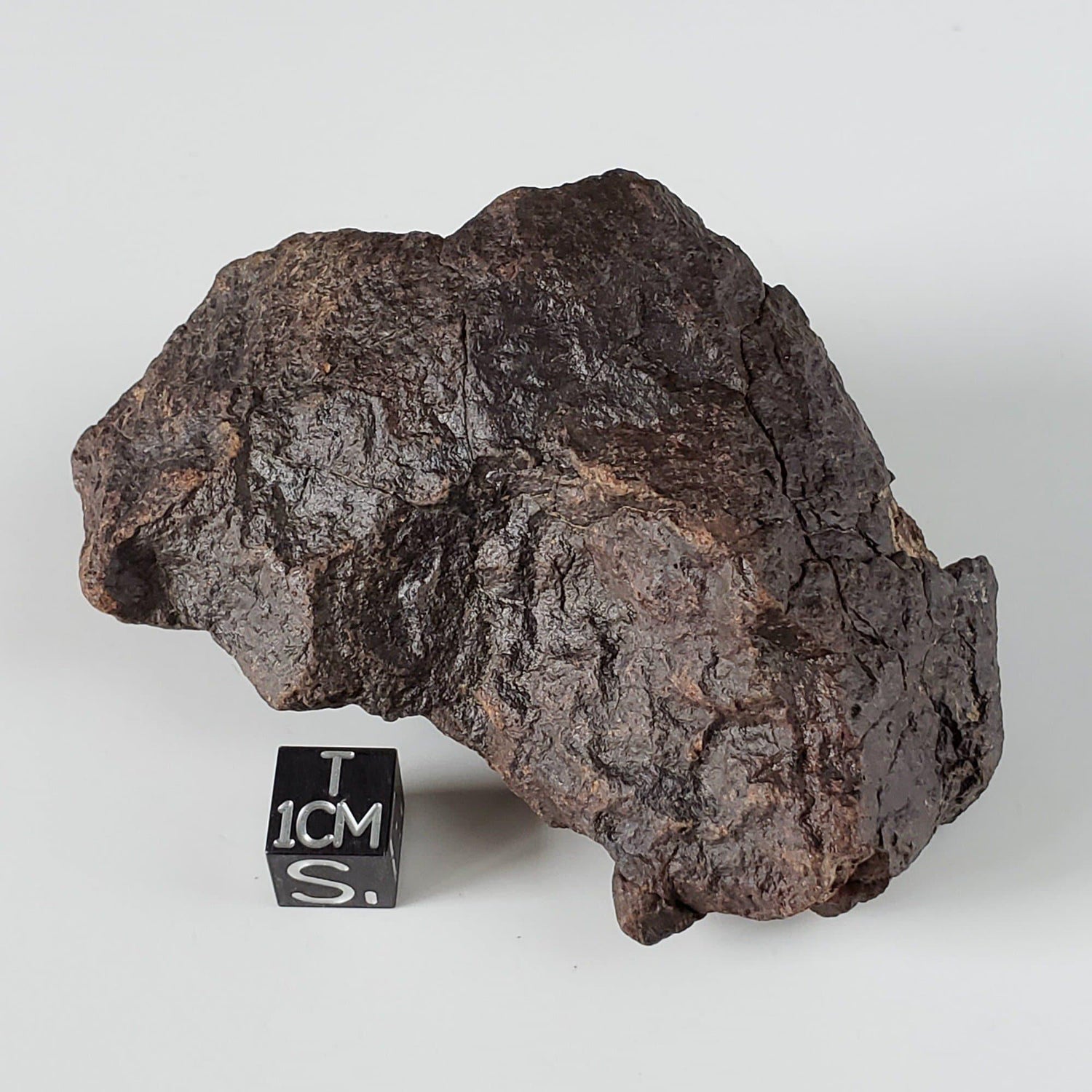 Dhofar 221 Meteorite | 170.5 Grams | Individual | L5 Shocked Chondrite | Sahara | Canagem.com