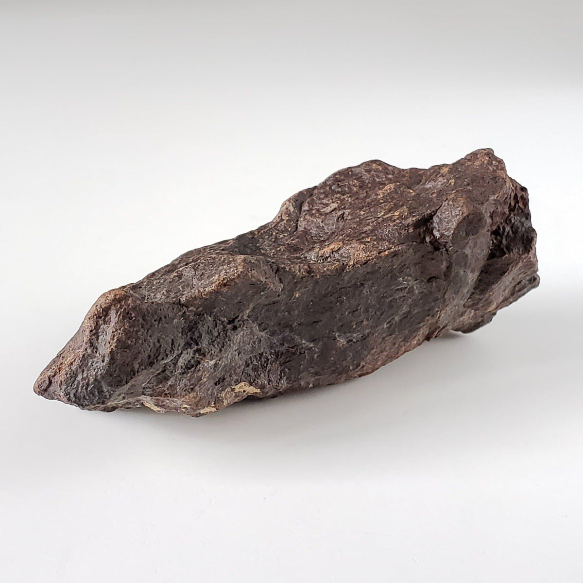 Dhofar 221 Meteorite | 170.5 Grams | Individual | L5 Shocked Chondrite | Sahara | Canagem.com