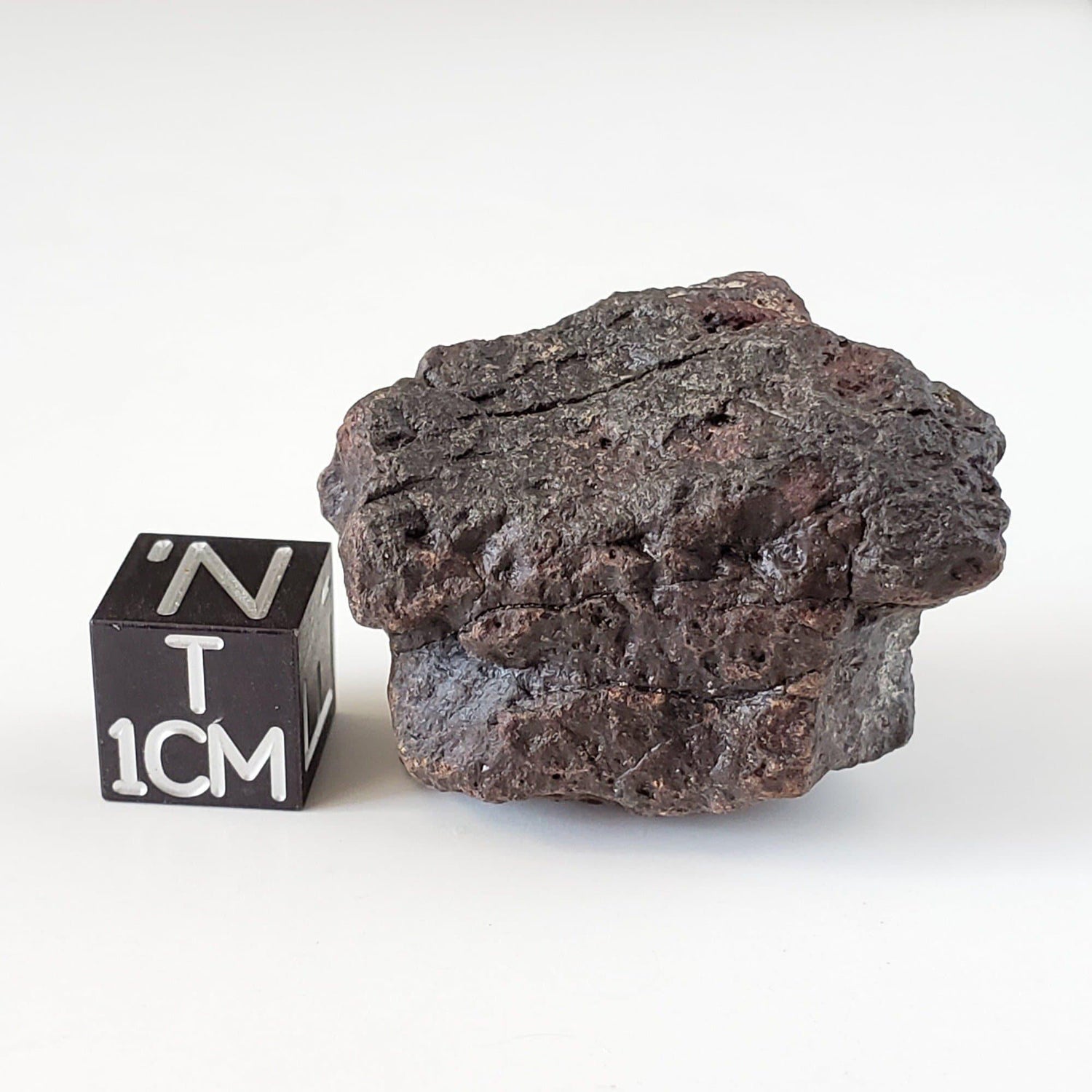 Dhofar 221 Meteorite | 20.82 Grams | Individual | L5 Shocked Chondrite | Sahara