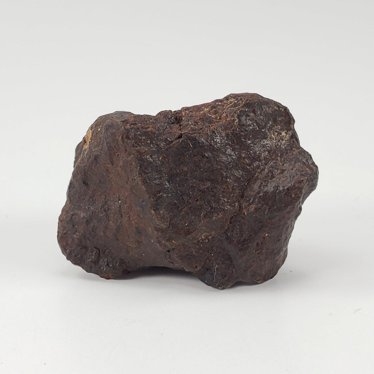  Dhofar 221 Meteorite 20.87 Grams Individual L5 Shocked Chondrite Sahara 