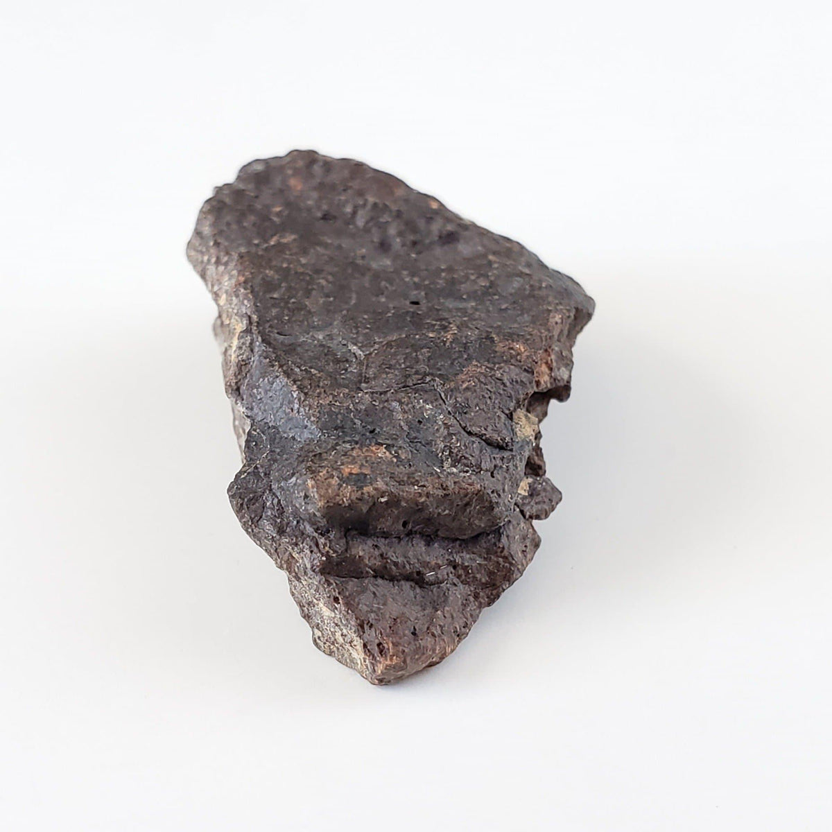 Dhofar 221 Meteorite | 8.58 Grams | Individual | L5 Shocked Chondrite | Sahara