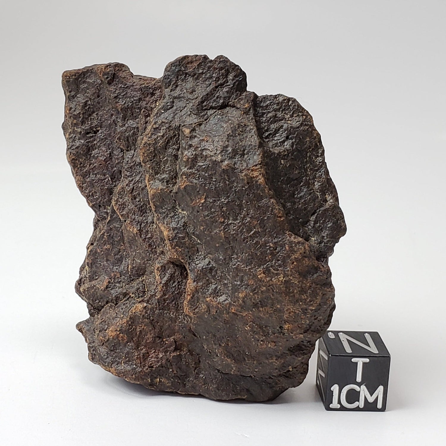 Dhofar 221 Meteorite | 96.4 Grams | Individual | L5 Shocked Chondrite | Sahara | Canagem.com