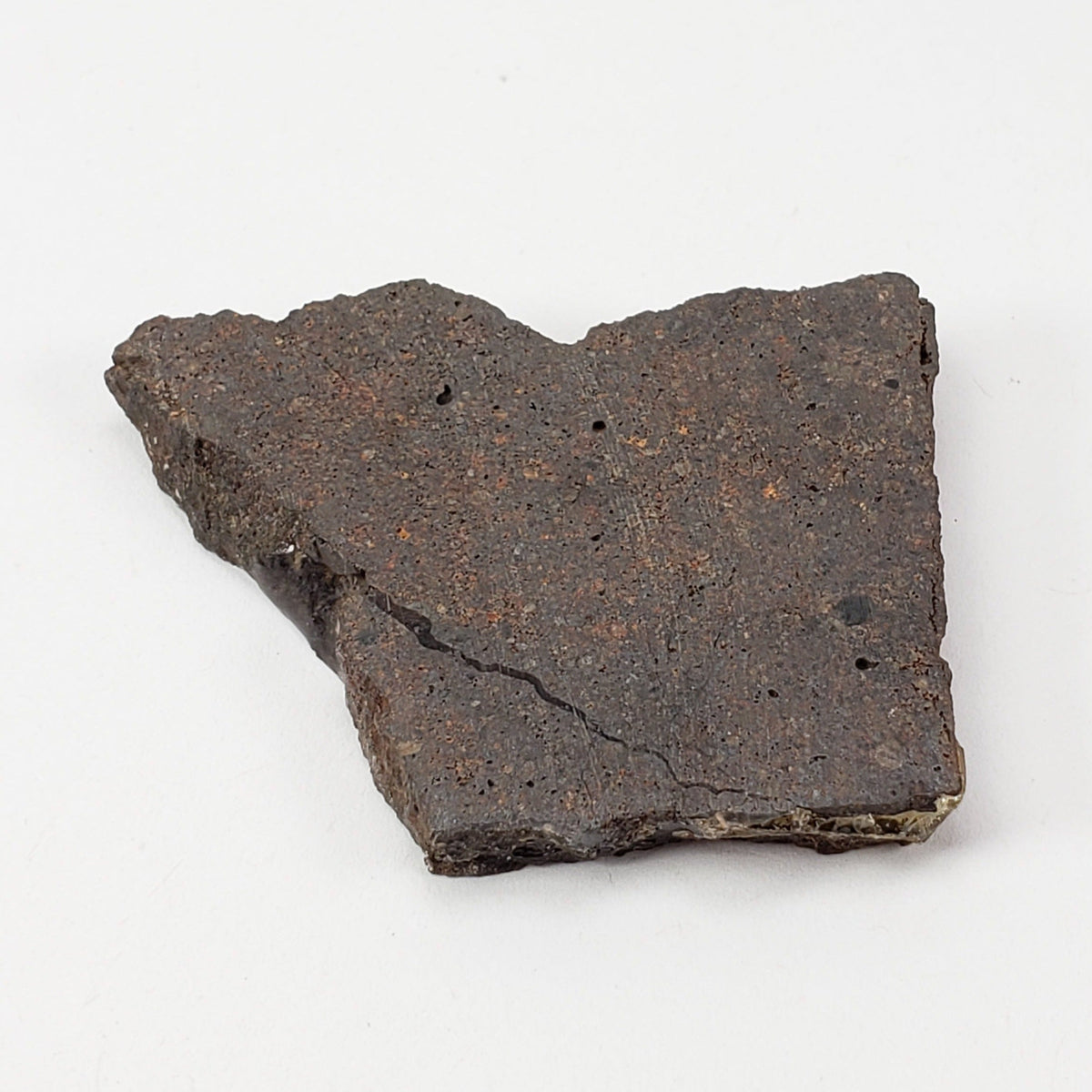  Dhofar 224 Meteorite 13.2 Grams Slice Rare H4 Chondrite Sahara 