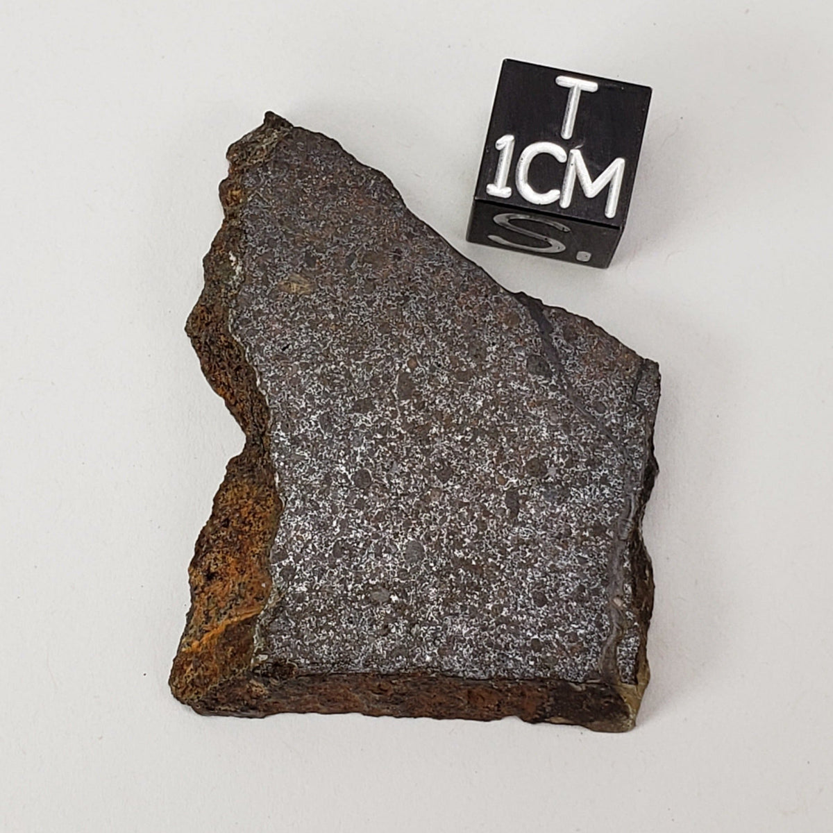  Dhofar 224 Meteorite 13.2 Grams Slice Rare H4 Chondrite Sahara 