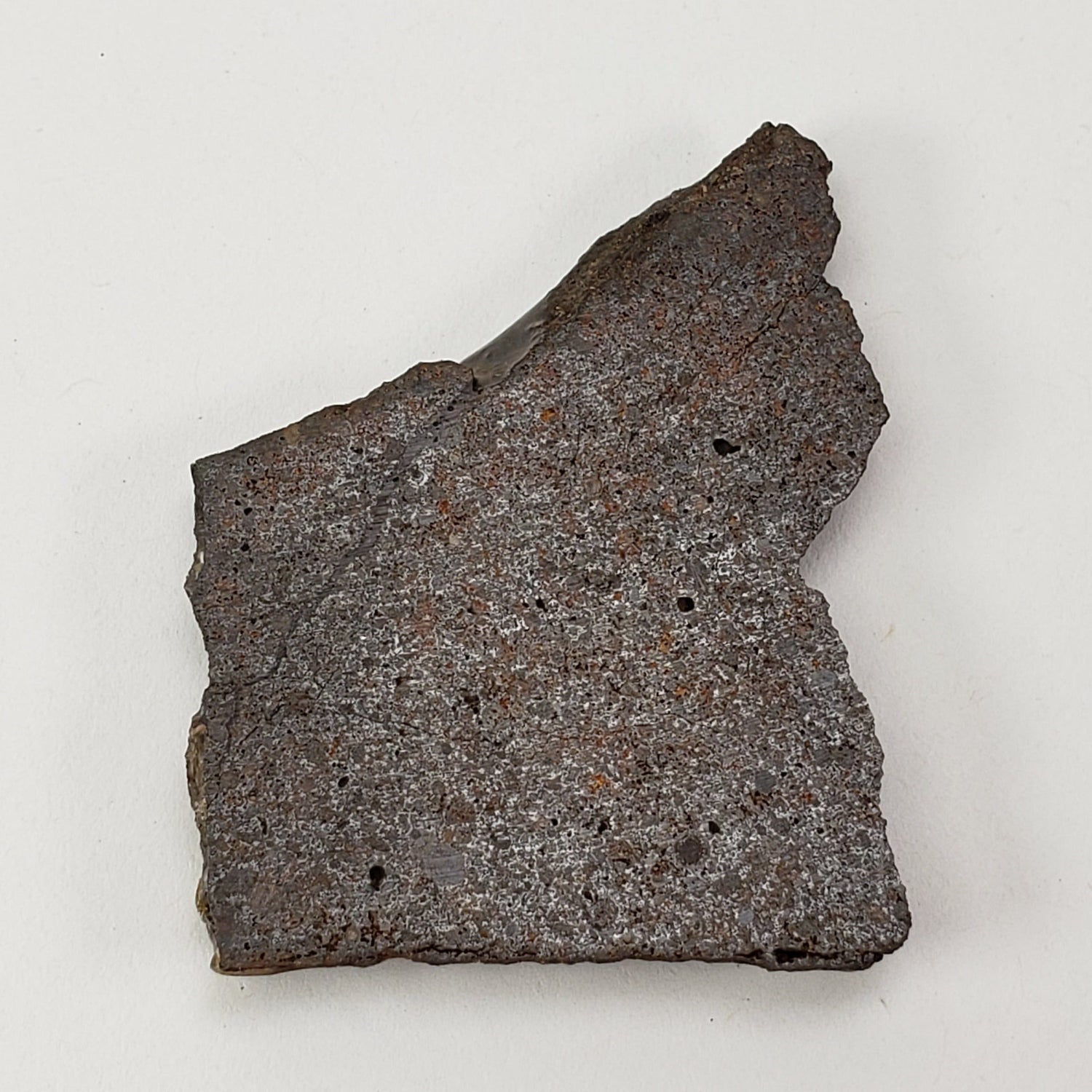  Dhofar 224 Meteorite 13.2 Grams Slice Rare H4 Chondrite Sahara 