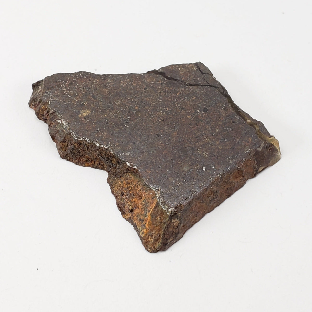  Dhofar 224 Meteorite 13.2 Grams Slice Rare H4 Chondrite Sahara 