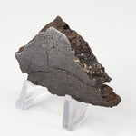 Dhofar 224 Meteorite | 23.11 Grams | Full Slice | Rare H4 Chondrite | Sahara | Canagem.com