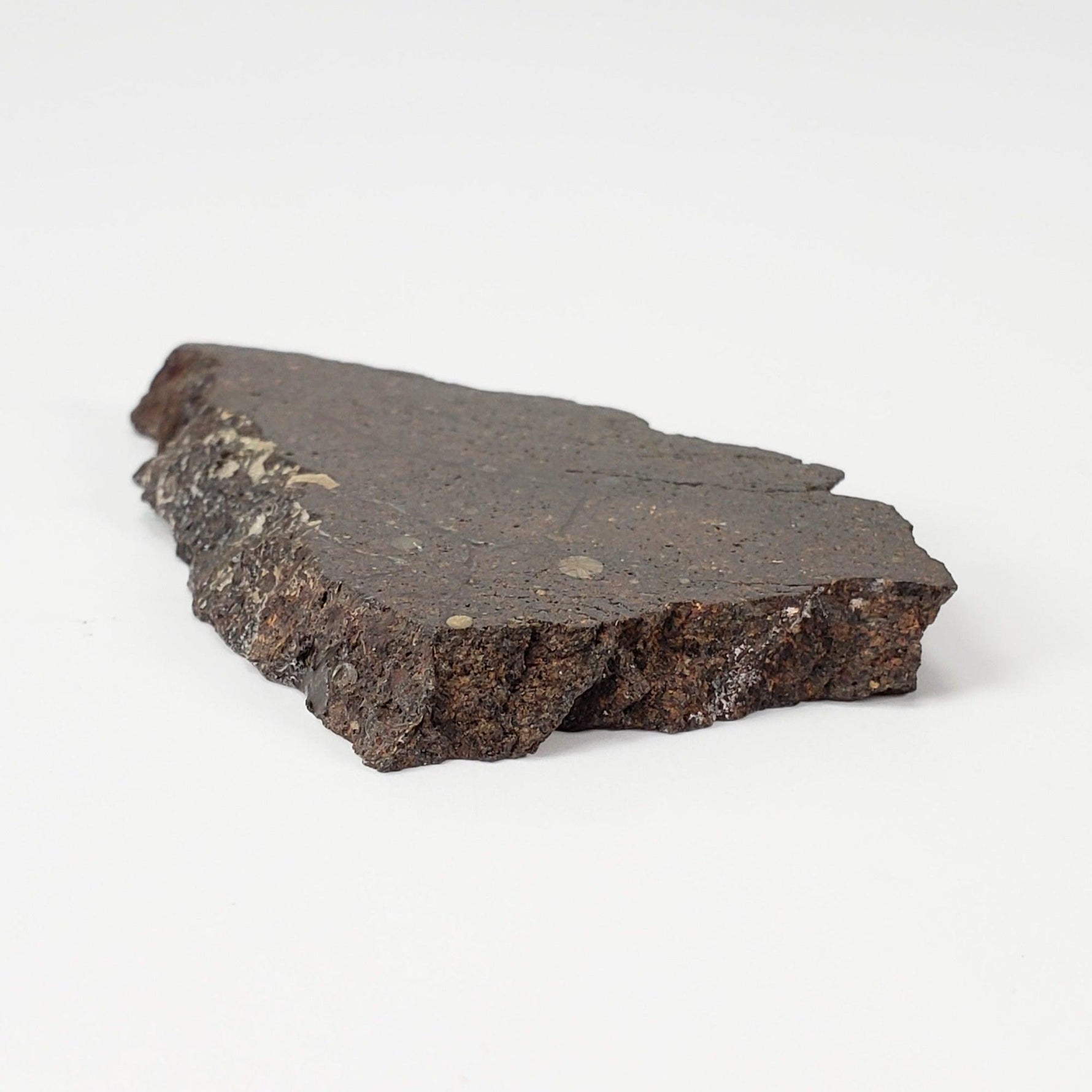 Dhofar 224 Meteorite | 23.11 Grams | Full Slice | Rare H4 Chondrite | Sahara