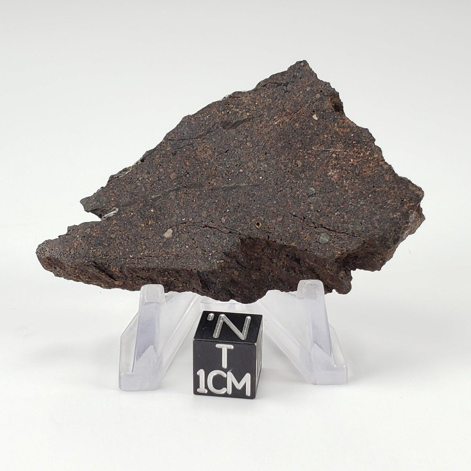 Dhofar 224 Meteorite | 23.11 Grams | Full Slice | Rare H4 Chondrite | Sahara