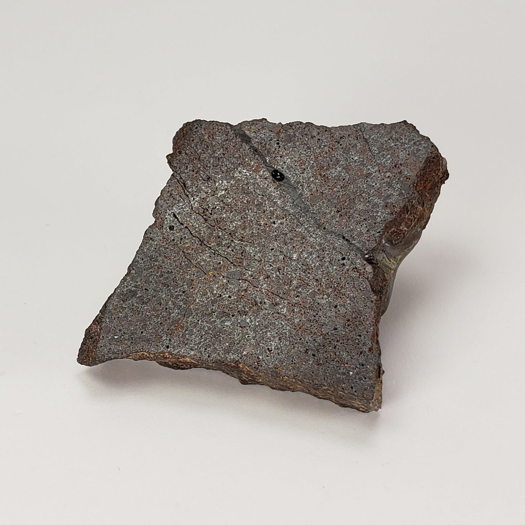 Dhofar 224 Meteorite | 23.2 Grams | Slice | Rare H4 Chondrite | Sahara