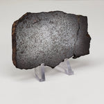 Dhofar 224 Meteorite | 72.8 Grams | Full Slice | Rare H4 Chondrite | Sahara