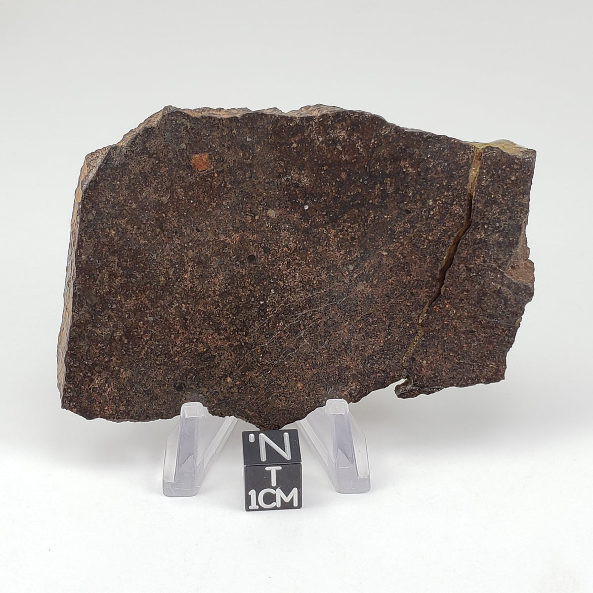 Dhofar 224 Meteorite | 72.8 Grams | Full Slice | Rare H4 Chondrite | Sahara