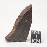  Dhofar 224 Meteorite 9.68 Grams Slice Rare H4 Chondrite Sahara 