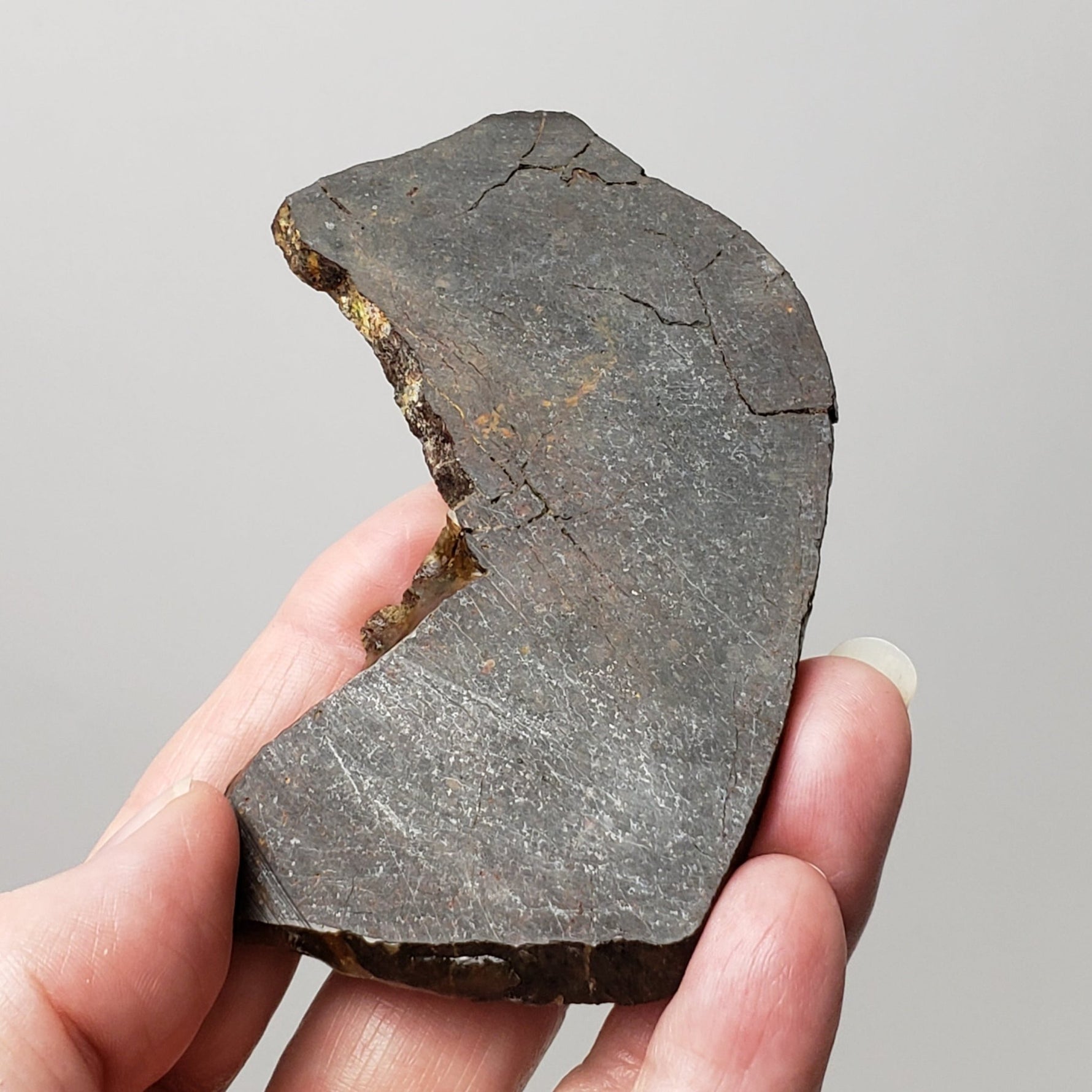 Dhofar 273 Meteorite | 75.60 Grams | Slice | L5 Chondrite | Sahara | Canagem.com