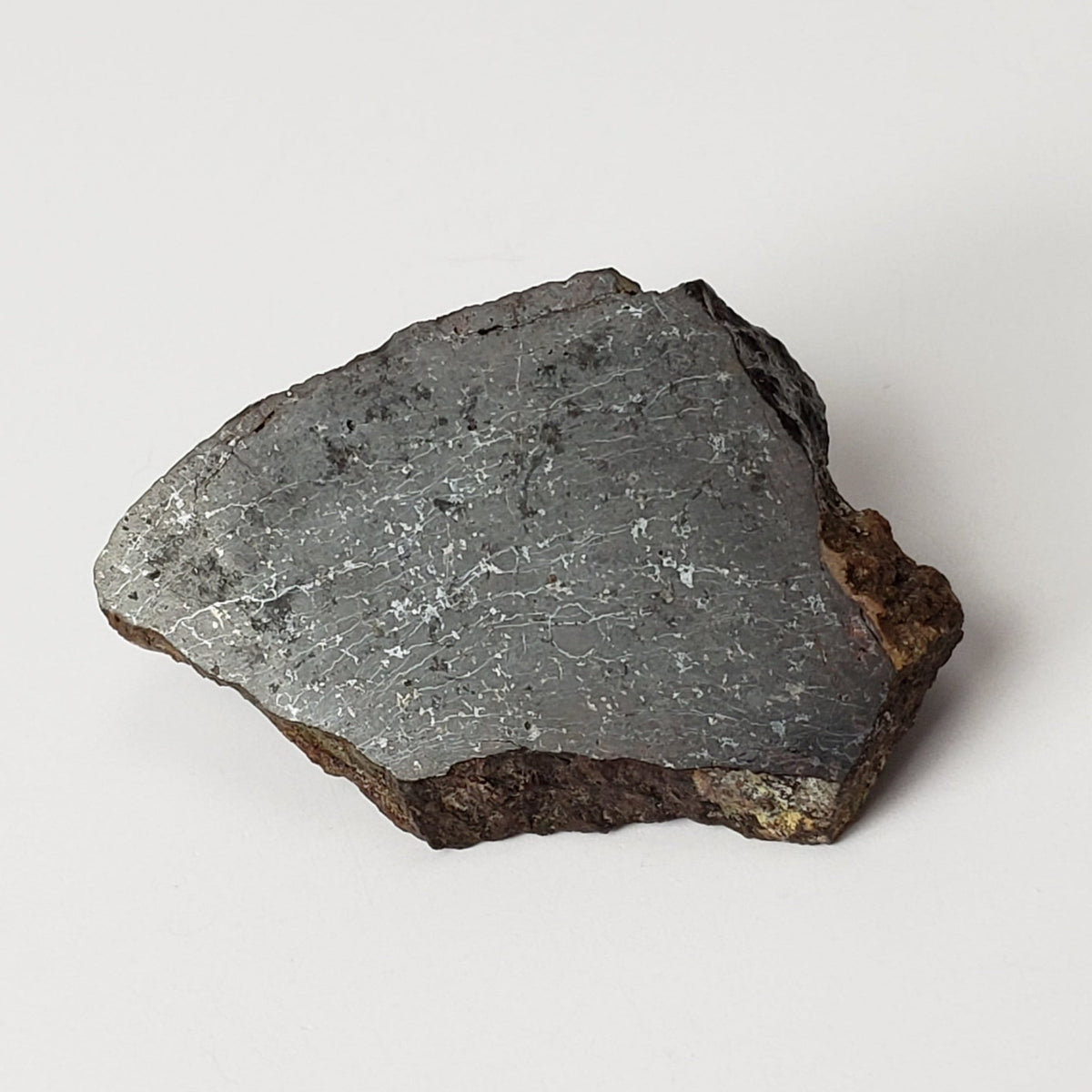 Dhofar 273 Meteorite | 8.65 Grams | Slice | L5 Chondrite | Sahara | Canagem.com