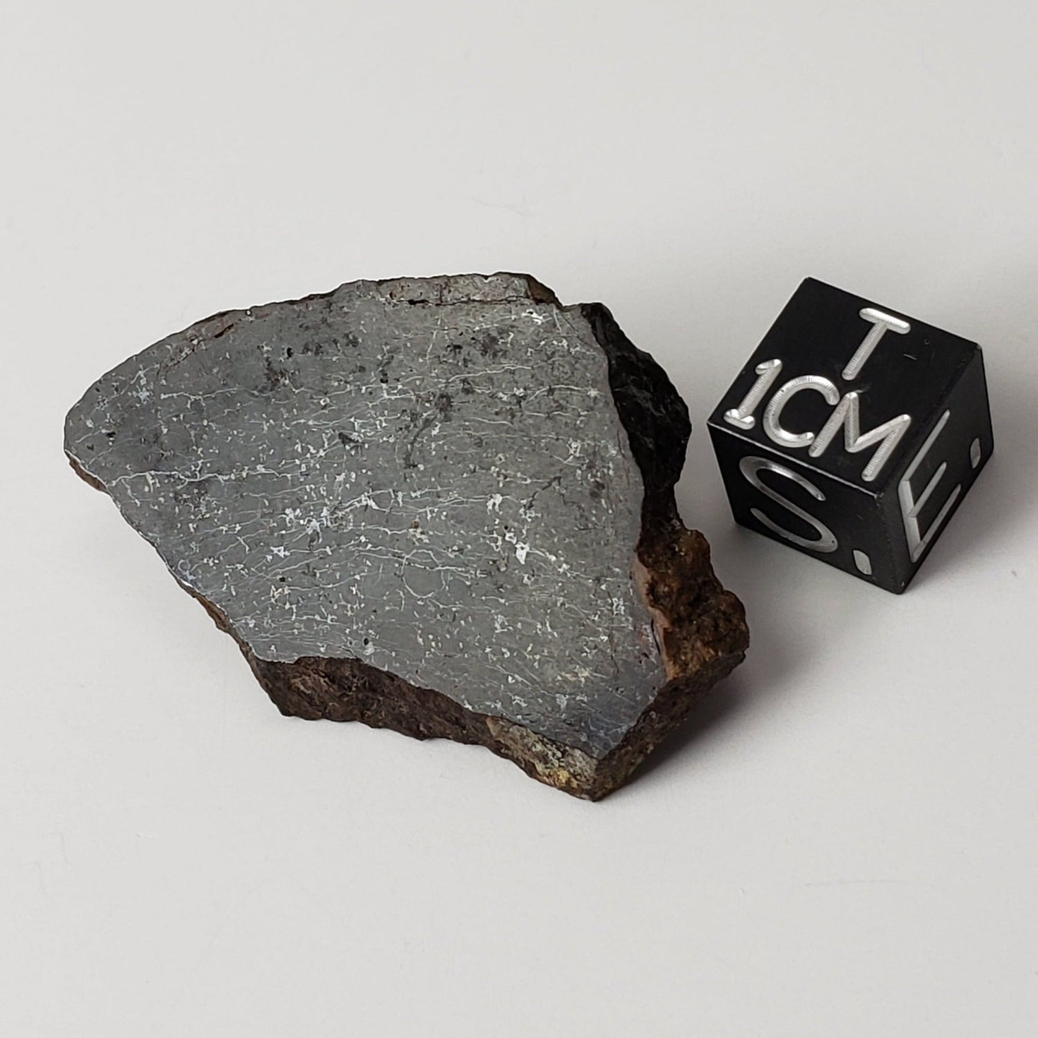 Dhofar 273 Meteorite | 8.65 Grams | Slice | L5 Chondrite | Sahara | Canagem.com
