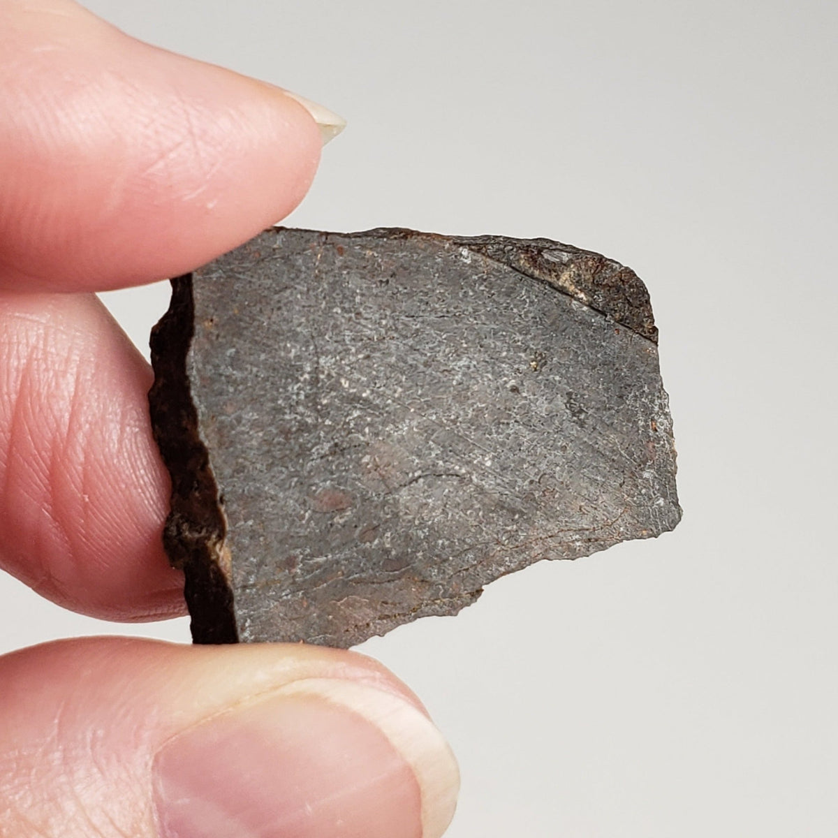  Dhofar 273 Meteorite 9.0 Grams Part Slice L5 Chondrite Sahara 