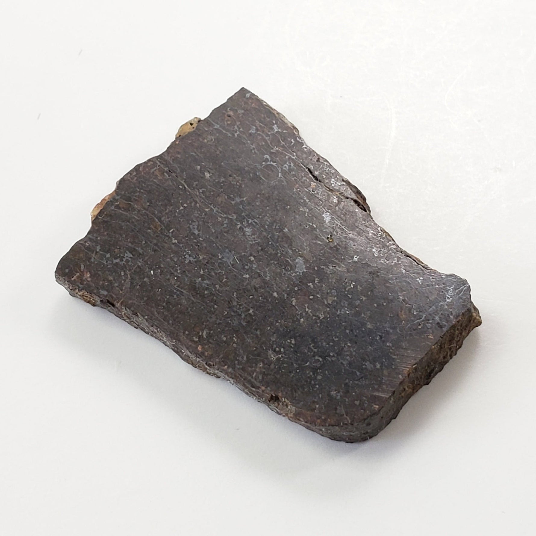  Dhofar 273 Meteorite 9.0 Grams Part Slice L5 Chondrite Sahara 