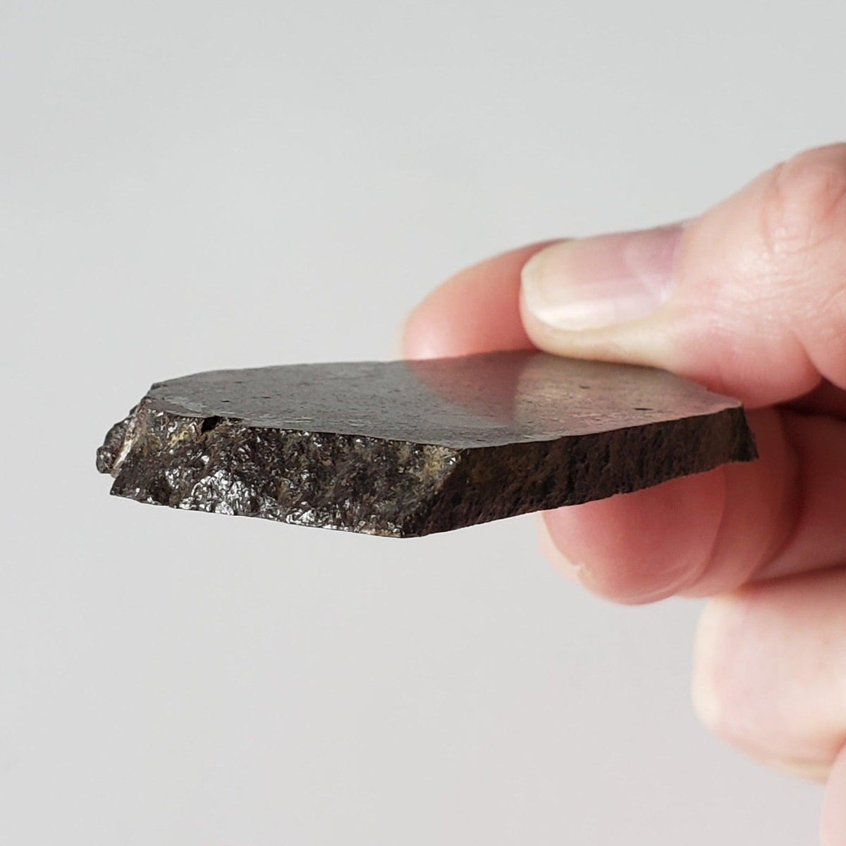 Dhofar 323 Meteorite | 36.38 Gr | Full Slice | H5 Chondrite | Sahara | Low TKW | Canagem.com