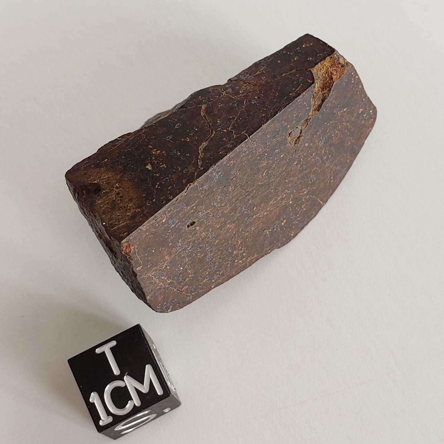 Dhofar 947 Meteorite | 38.40 Gr | Quarter Stone | L5-6 Chondrite | Rare Low TKW | Canagem.com