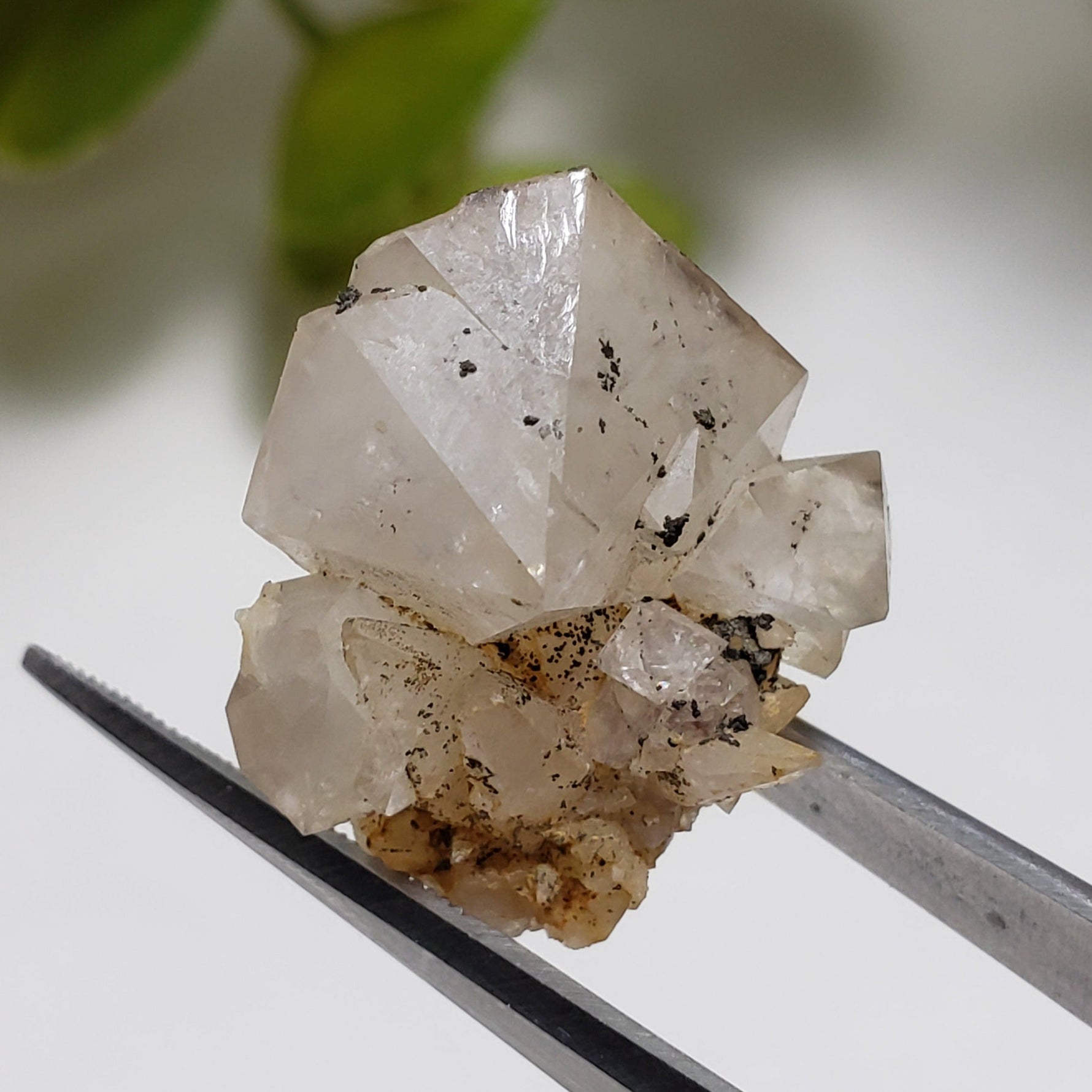 Double Terminated Quartz Crystal | 5.3 Grams | Severn Bridge, Ontario Canada | Canagem.com