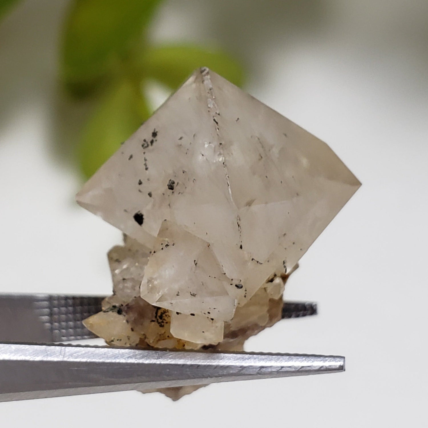 Double Terminated Quartz Crystal | 5.3 Grams | Severn Bridge, Ontario Canada | Canagem.com