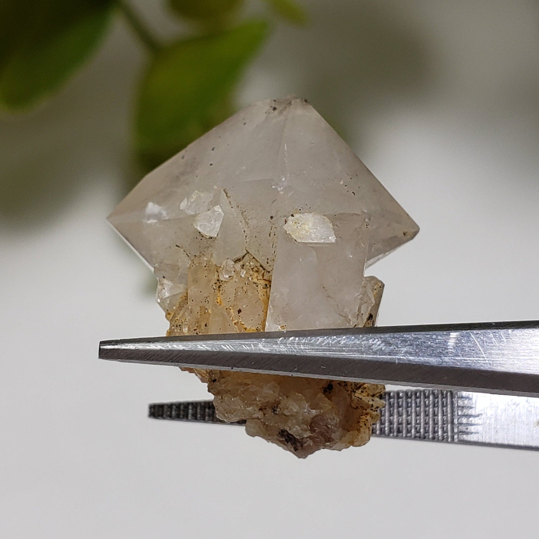 Double Terminated Quartz Crystal | 5.3 Grams | Severn Bridge, Ontario Canada