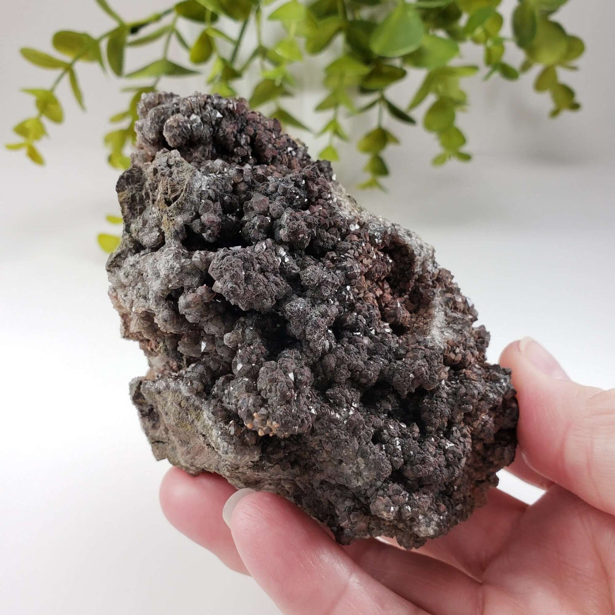  Drusy Quartz with Hematite Spheres | Crystal Cluster | 443 Grams | Bancroft, Ontario 