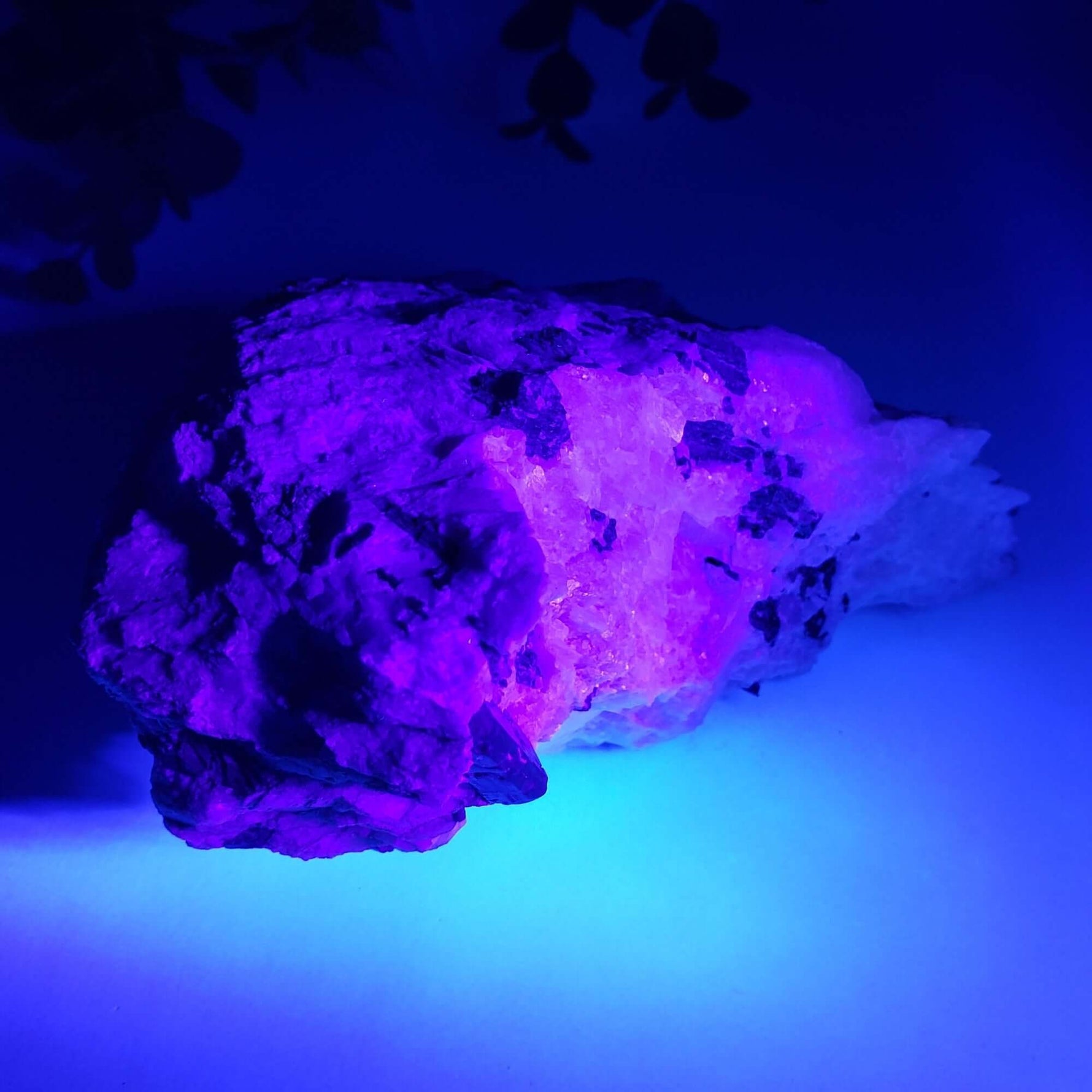 Fluor-Richterite on Calcite Matrix | Rare Mineral | 731 grams | Fluorescent | Wilberforce Ontario Canada