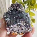  Fluorite Cluster Purple Mineral 466 Grams Crystal, Namibia 