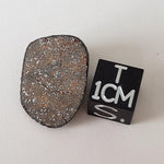  Gao-Guenie Meteorite 4.46 grams End Cut H5 Chondrite Observed Fall Burkina Faso 