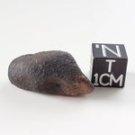  Gao-Guenie Meteorite 6.62 gr H5 Chondrite Observed Fall Burkina Faso 100% Crusted 