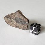 Gao-Guenie Meteorite | 7.76 grams | Slice | H5 Chondrite | Observed Fall | Burkina Faso