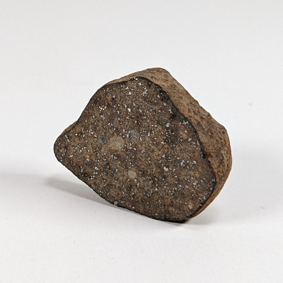  Gao-Guenie Meteorite-in-a-Box 10.8 grams End Cut H5 Chondrite Observed Fall Burkina Faso 