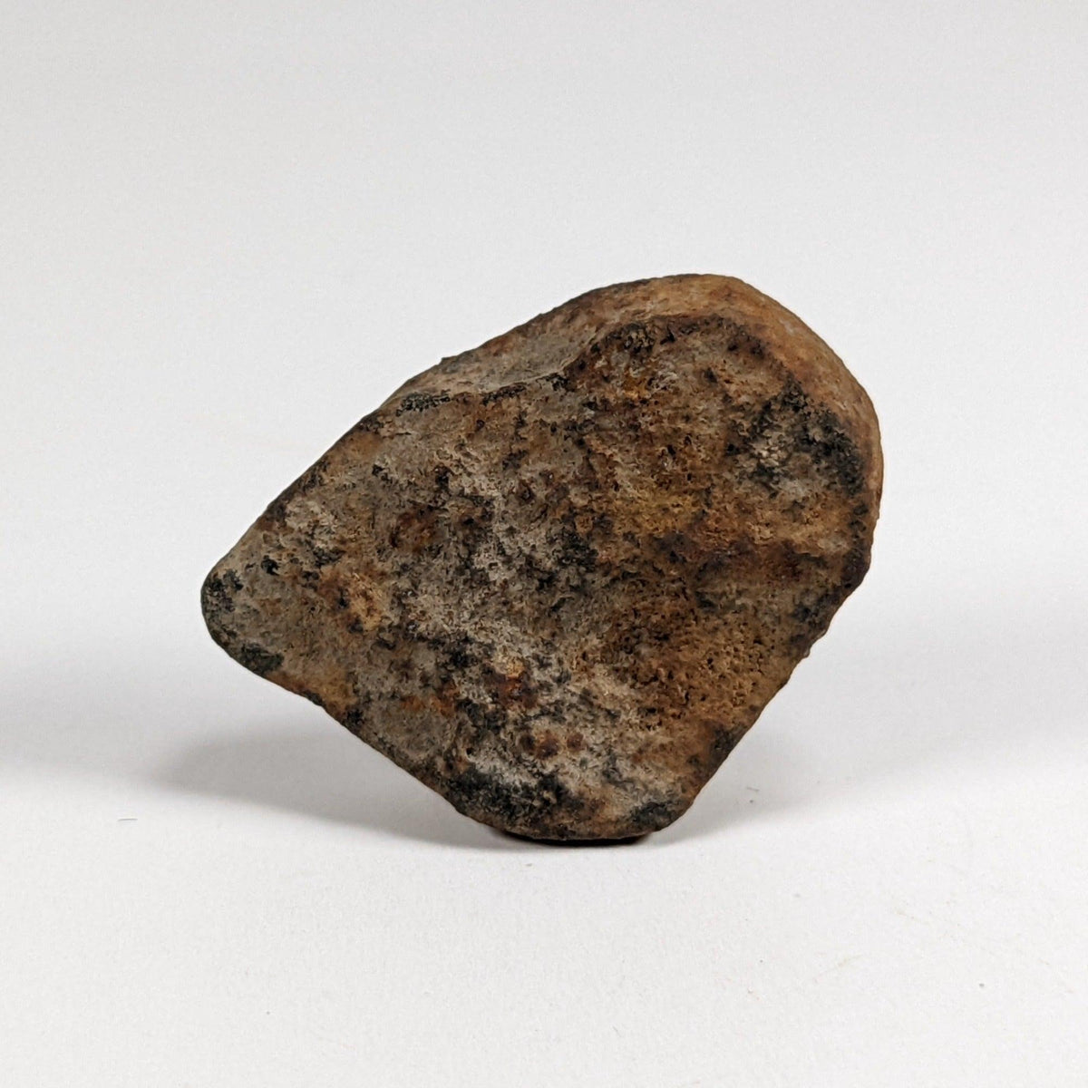  Gao-Guenie Meteorite-in-a-Box 10.8 grams End Cut H5 Chondrite Observed Fall Burkina Faso 