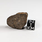  Gao-Guenie Meteorite-in-a-Box 10.8 grams End Cut H5 Chondrite Observed Fall Burkina Faso 