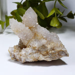 Ghost Cactus Quartz Crystal Cluster | 96 gr | South Africa | Canagem.com