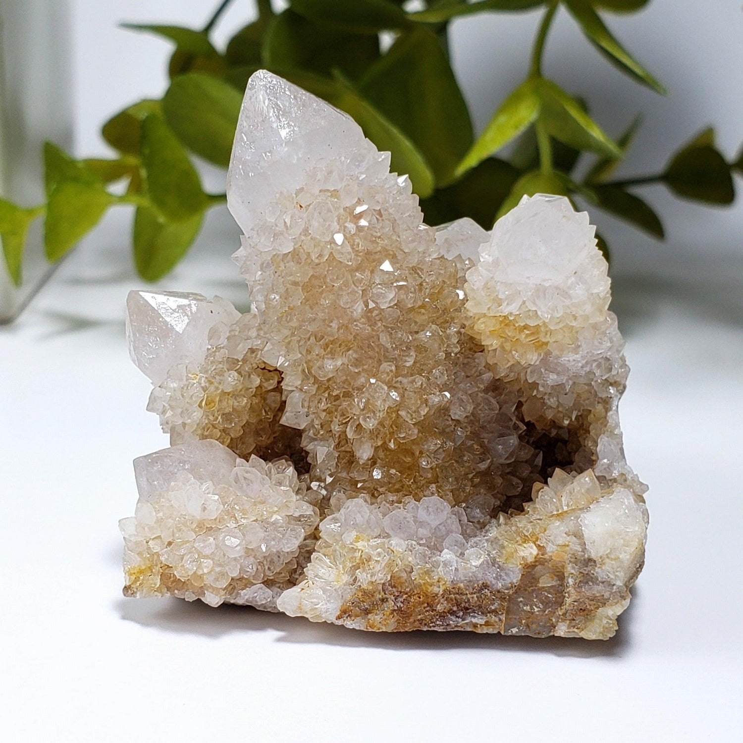 Ghost Cactus Quartz Crystal Cluster | 96 gr | South Africa