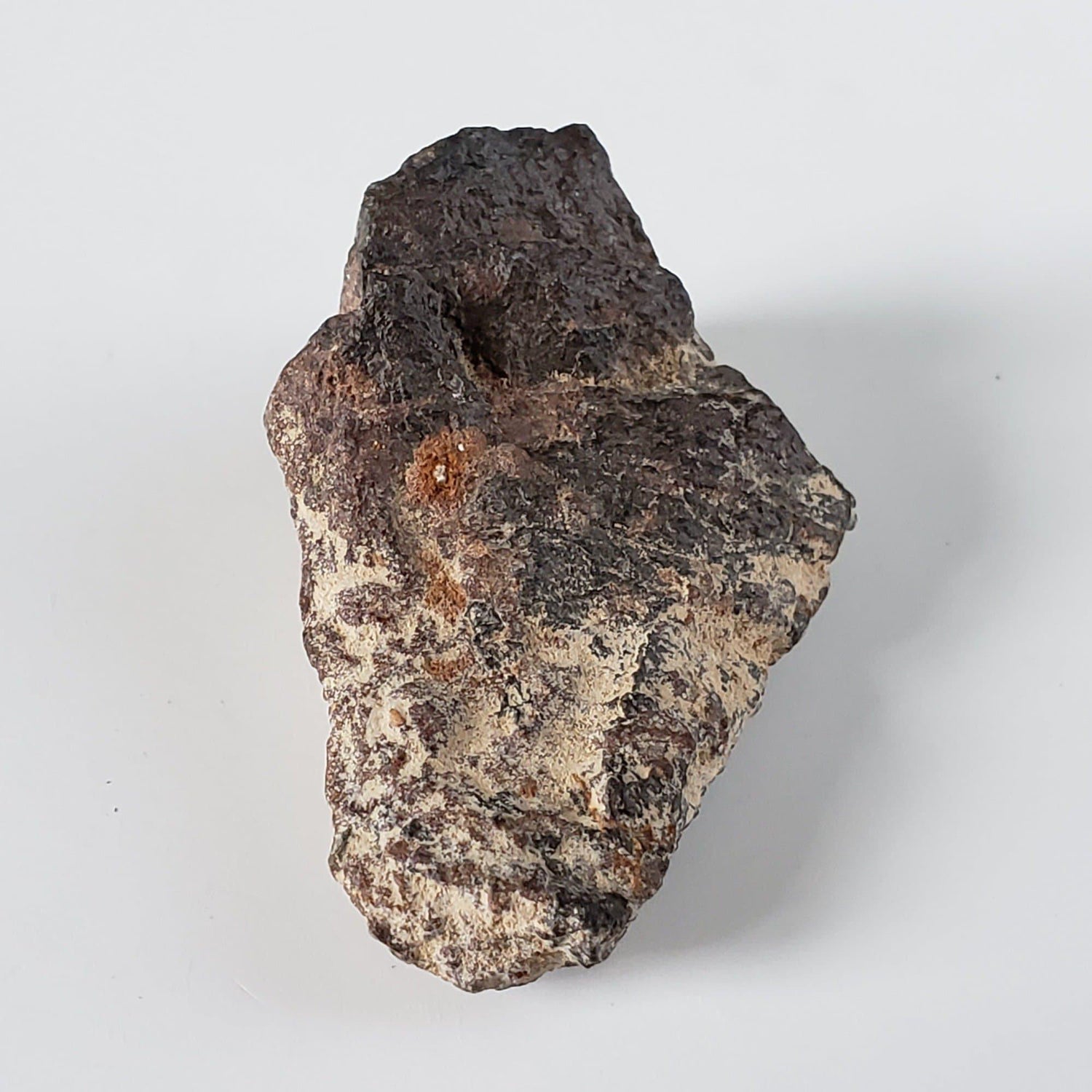 Ghubara Meteorite | 25.77 Gr | Individual | Rare Stony Black L5 Chondrite