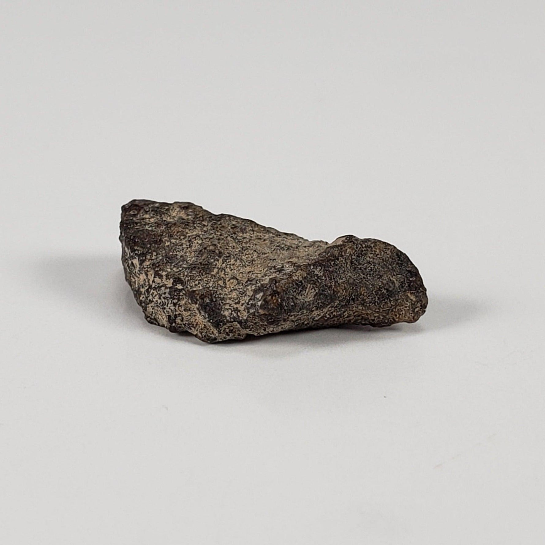  Gold Basin Meteorite | 1.0 Grams | L4 Chondrite | Arizona 