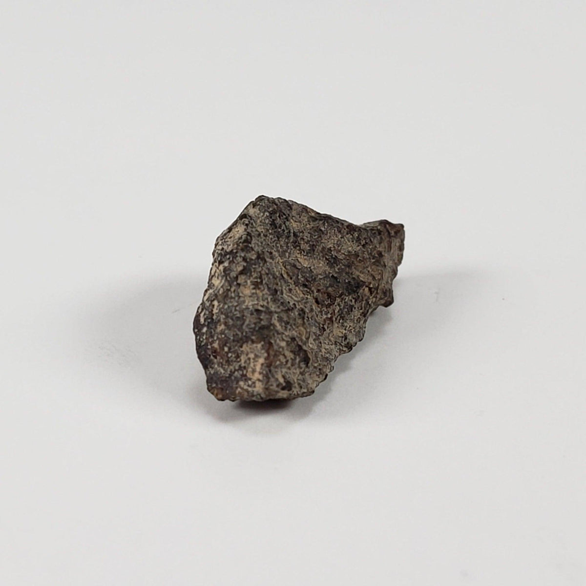  Gold Basin Meteorite | 1.0 Grams | L4 Chondrite | Arizona 