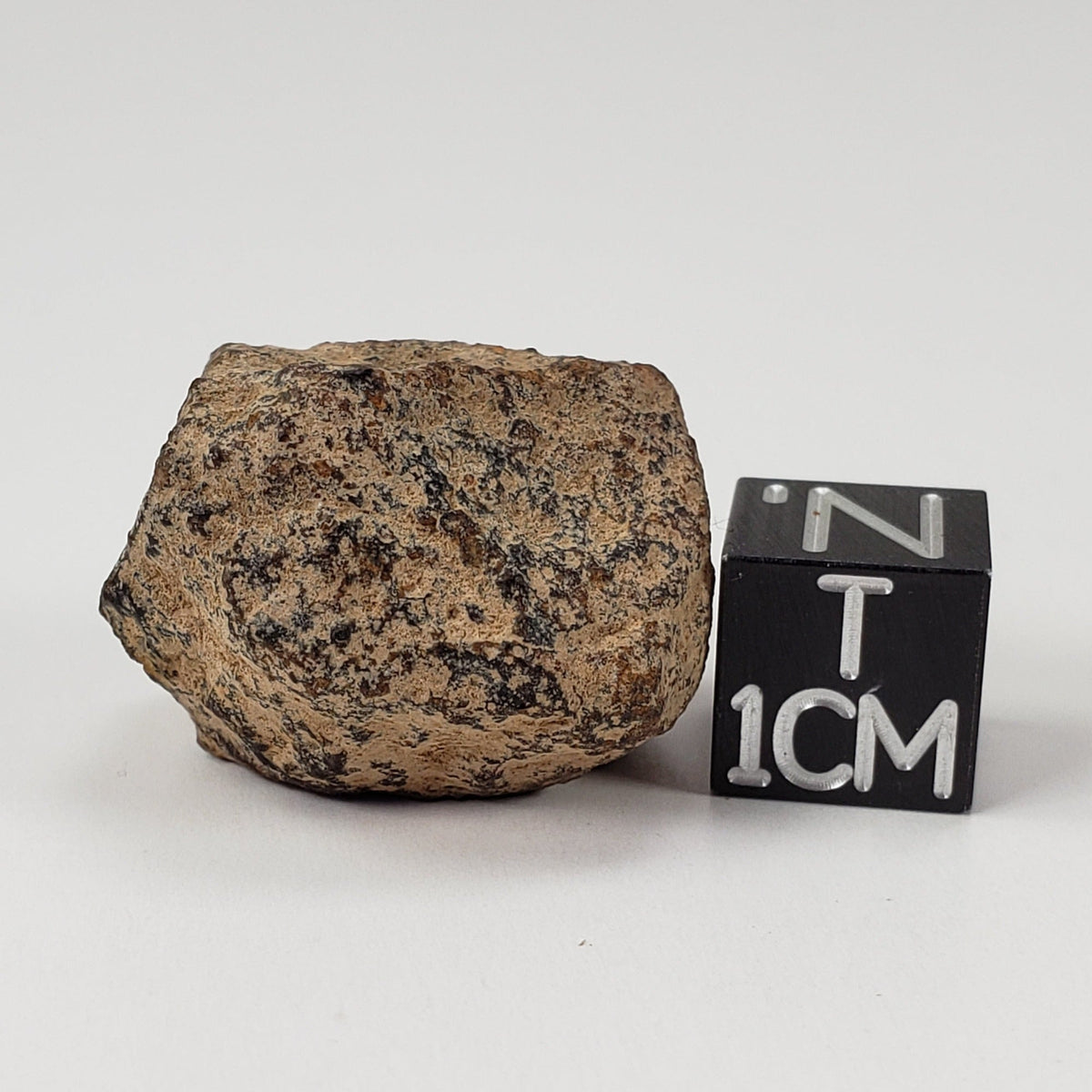  Gold Basin Meteorite | 14.7 Grams | Individual | L4 Chondrite | Arizona 