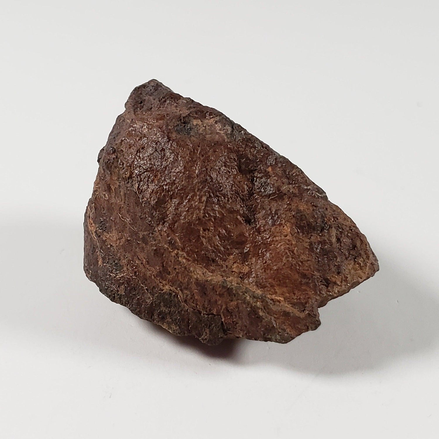 Gold Basin Meteorite | 21.43 Grams | Individual | L4 Chondrite | Arizona