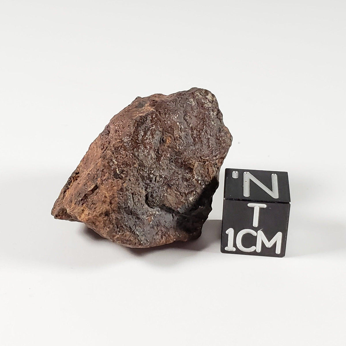 Gold Basin Meteorite | 21.43 Grams | Individual | L4 Chondrite | Arizona | Canagem.com