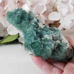 MineralsCanagem.com