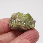  Green Vesuvianite Crystal 16.8 Gr from Quebec 