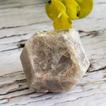 Grossular Garnet Crystal | 22-36g | Lake Jaco, Chihuahua, Mexico