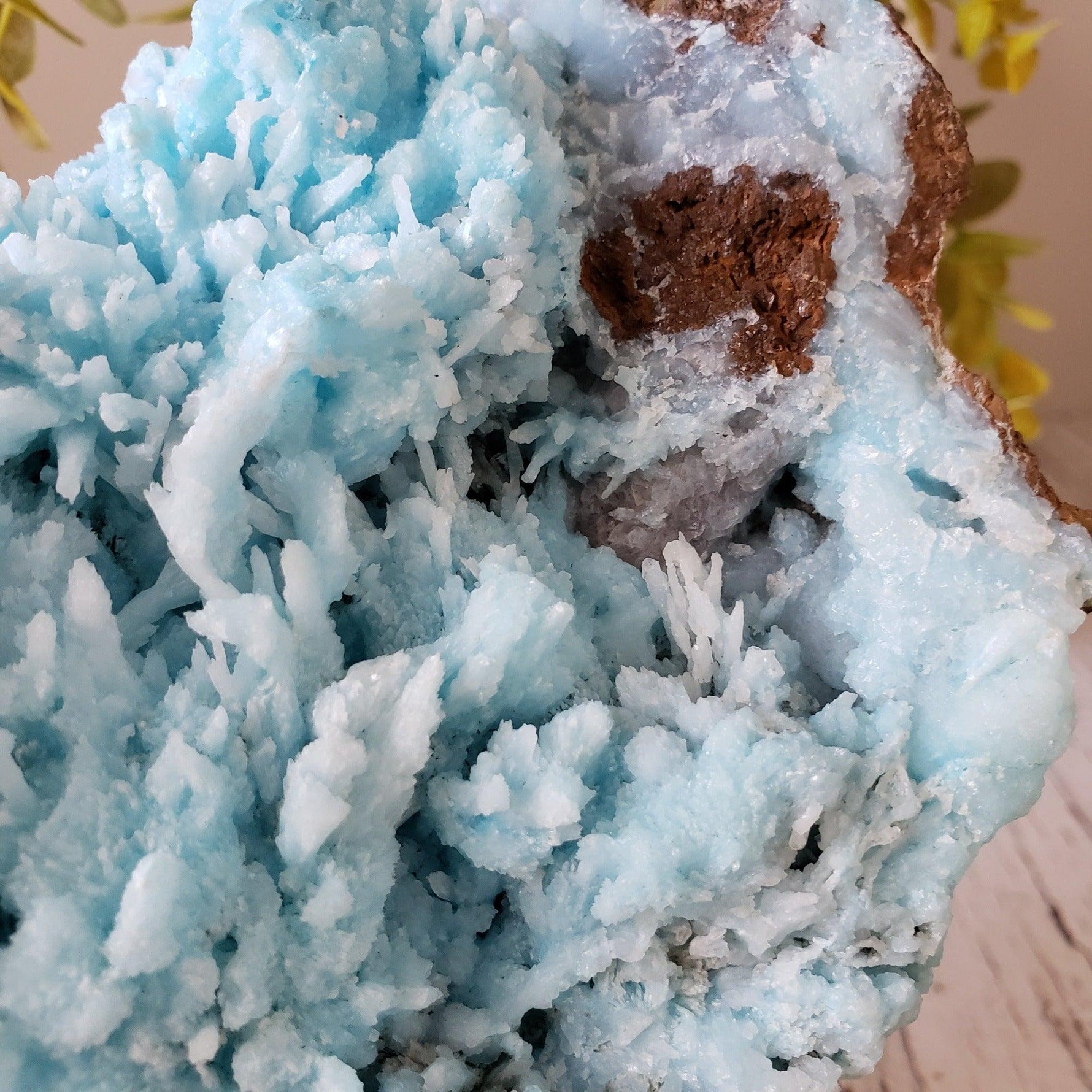 Gigantic Botryoidal Fluorite on MM Quartz Very, Rare Natural Mineral S –  Superb Minerals