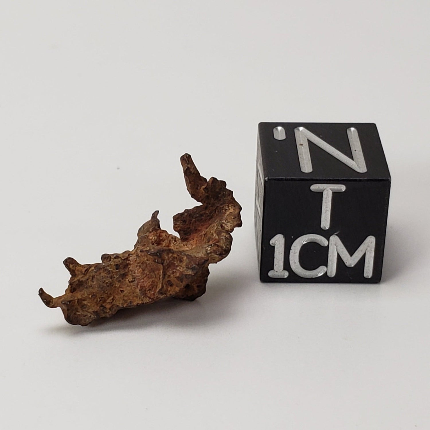 Imilac Meteorite | 1.56 Grams | Individual | Pallasite Stony Iron | Rare 1822 | Chile